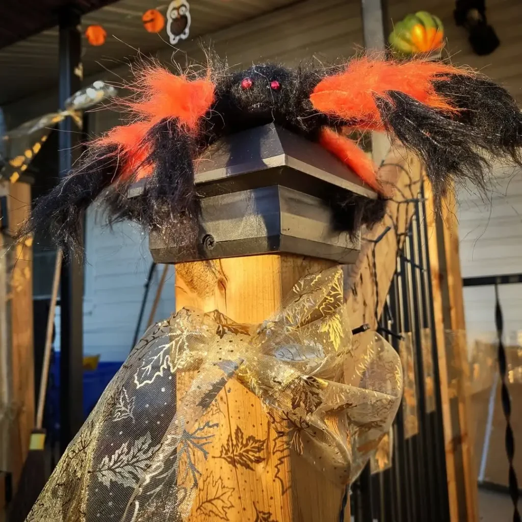 Fluffy Red-Limbed Crawler