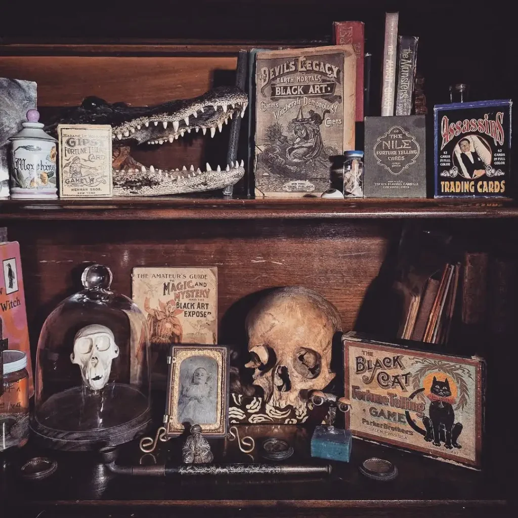 Oddities on Display