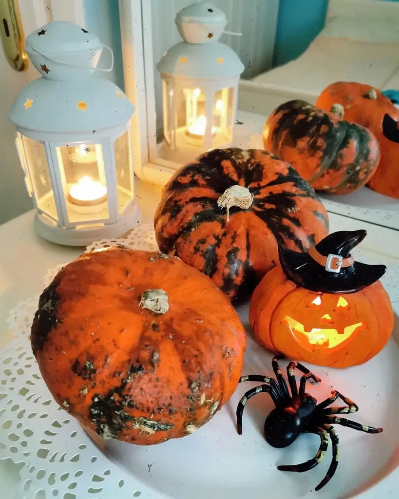 Pumpkin & Spider Pairing