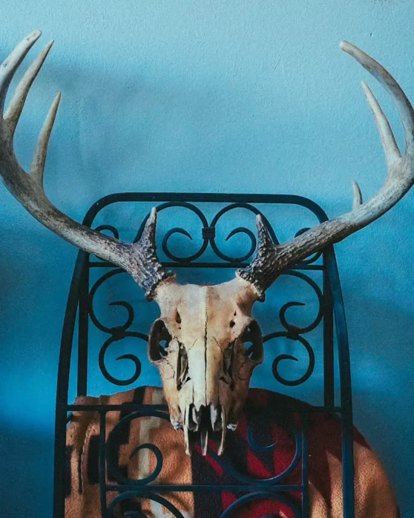 Rustic Bone Collector