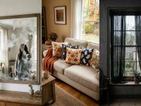 Spooktacular Halloween Living Room Ideas to Wow Your Guests Featured Collage