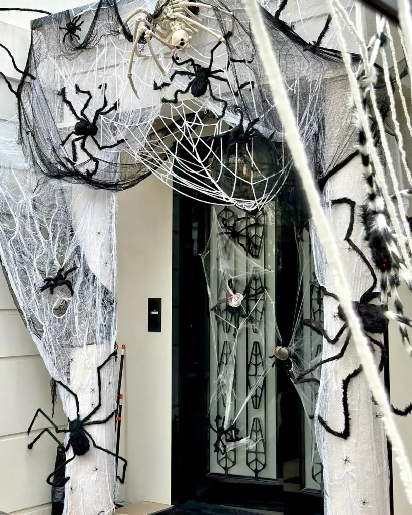 Webbed Entry Drama