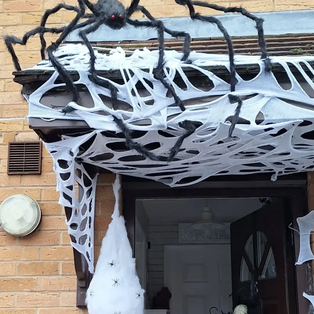 Webbed Welcome