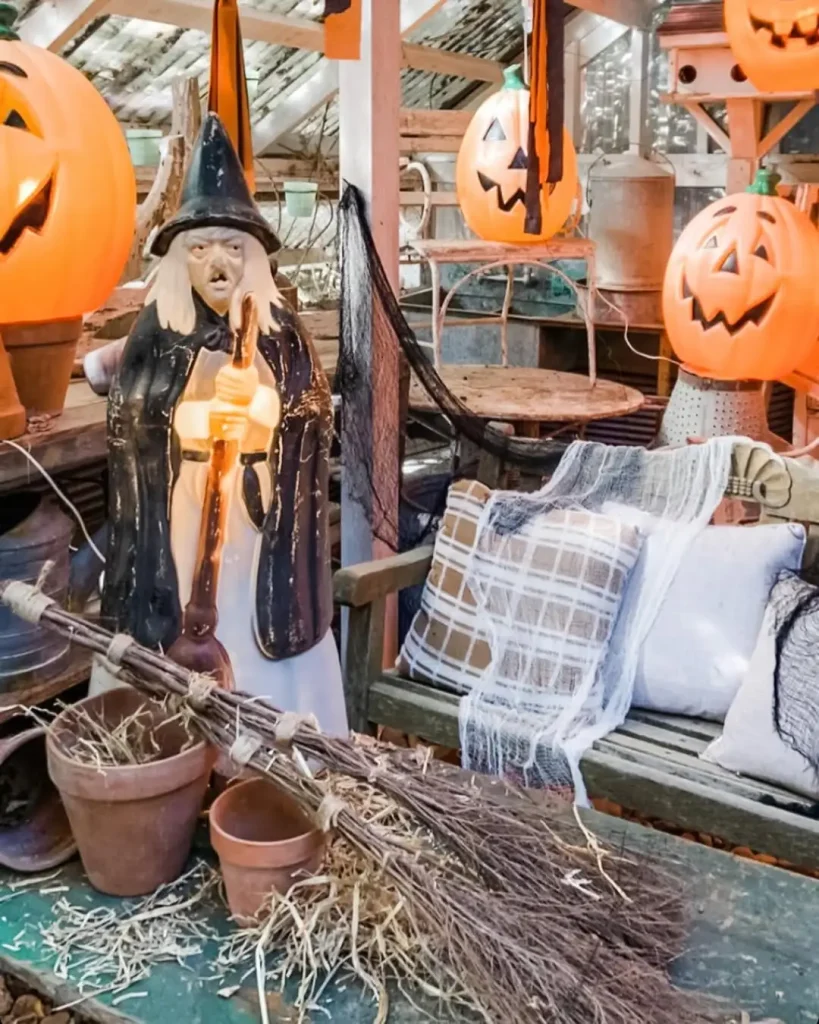 Witchy Whimsy